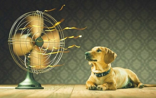 системы центрального кондиционирования в Израиле