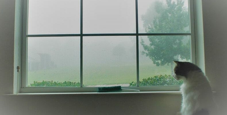 Что делать если запотевают окна. Простой и эффективный способ решения проблемы