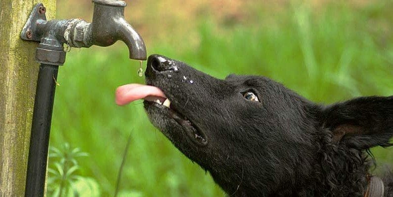 Экономим воду — полезные советы