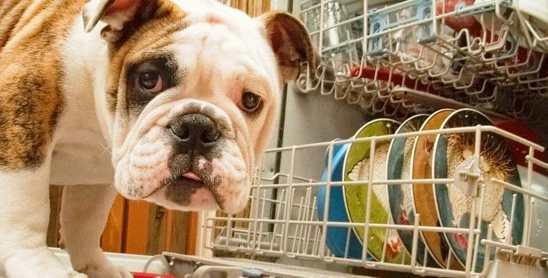 Купить посудомоечную машину в Израиле — что стоит учесть?