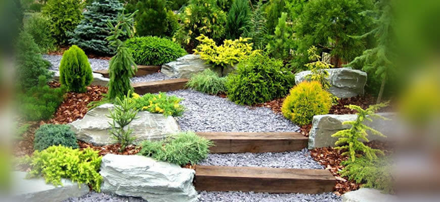 Ландшафтный дизайн в Израиле