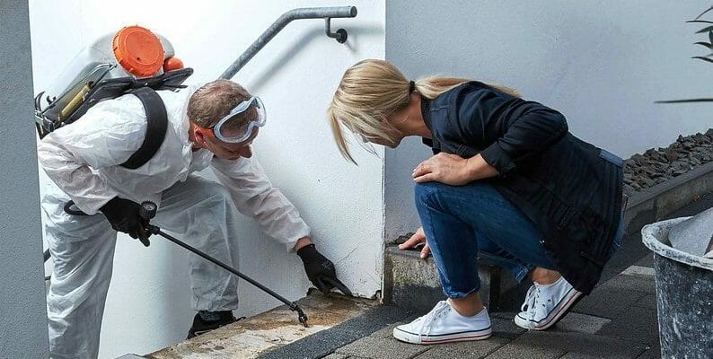 Дезинсекция квартиры: Подготовка квартиры к ресусу