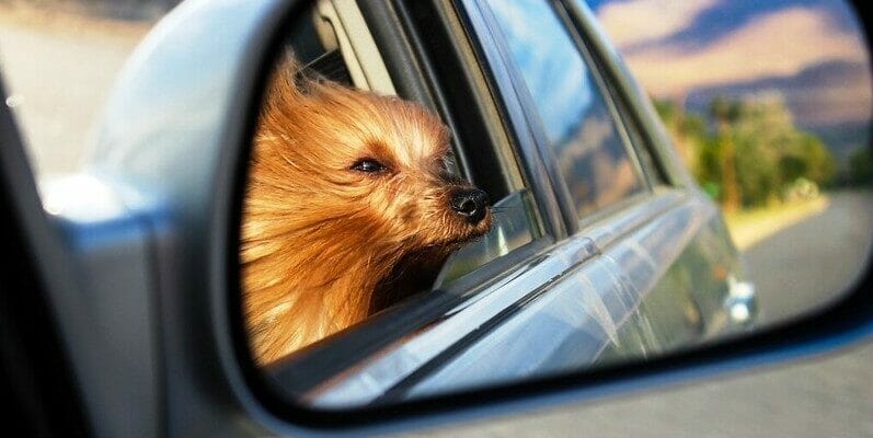 Свистит в окне, сквозняк гуляет и трисы не хочется менять…